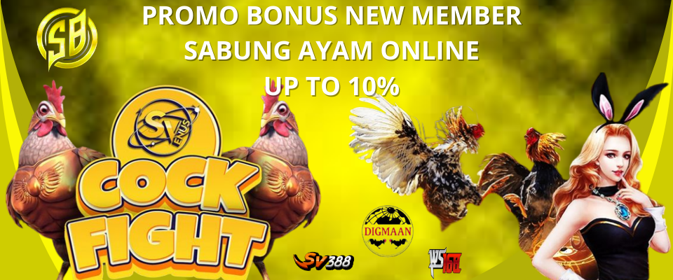 Bonus Cashback Mingguan Sabung Ayam 10%